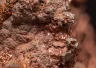 Copper ore sample